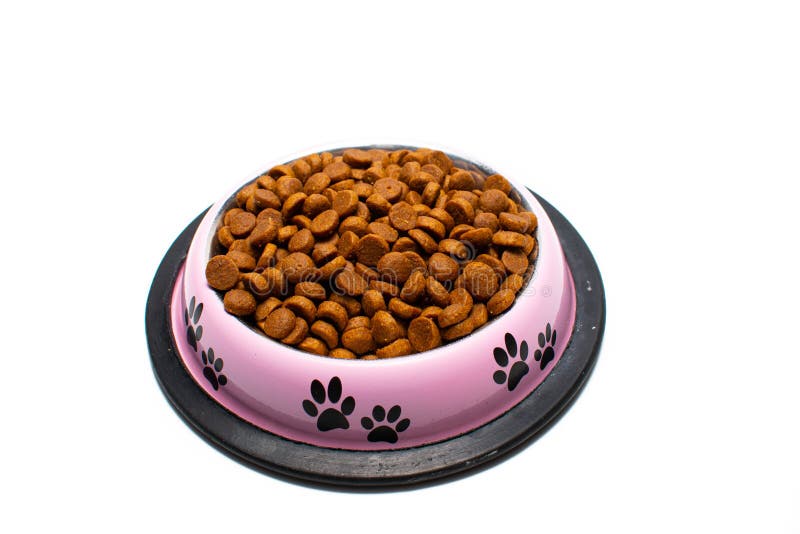 Tazón Con Para Gatos Y Perros de archivo Imagen de recipiente, desayuno: 179890527