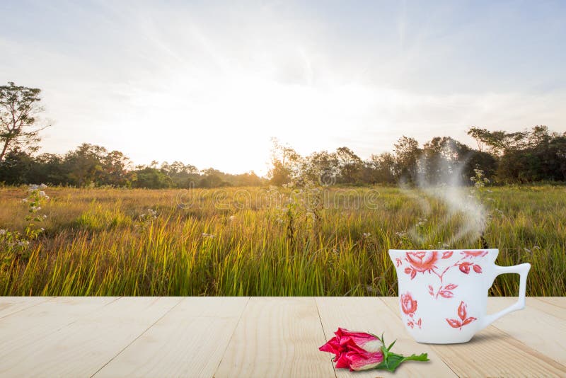 Taza de café caliente y flor roja en la sobremesa de madera en fondo borroso del prado y del bosque con luz del sol suave imagen de archivo libre de regalías Taza de café caliente y flor roja en la sobremesa de madera en fondo borroso del prado y del bosque con luz del sol suave imagen de archivo libre de regalías