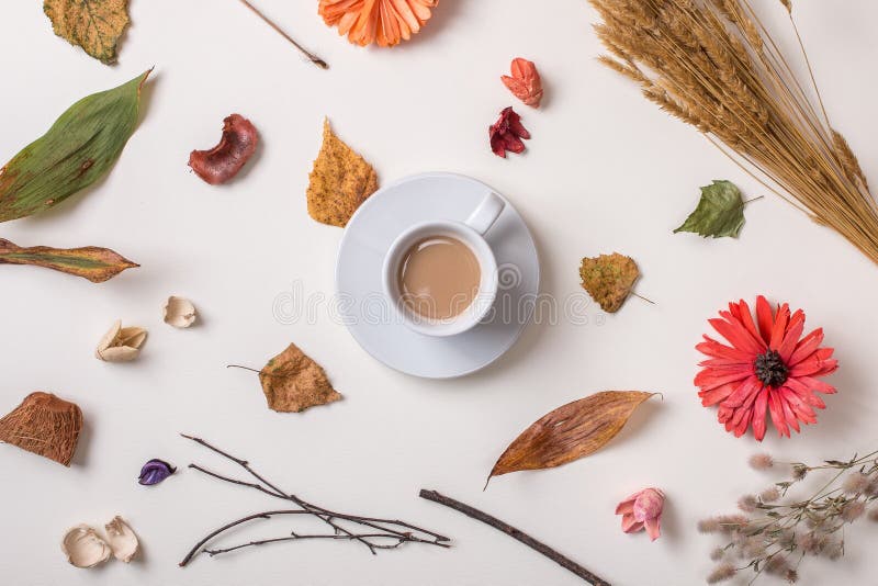 Taza de café con las plantas secadas otoño imágenes de archivo libres de regalías Taza de café con las plantas secadas otoño imágenes de archivo libres de regalías