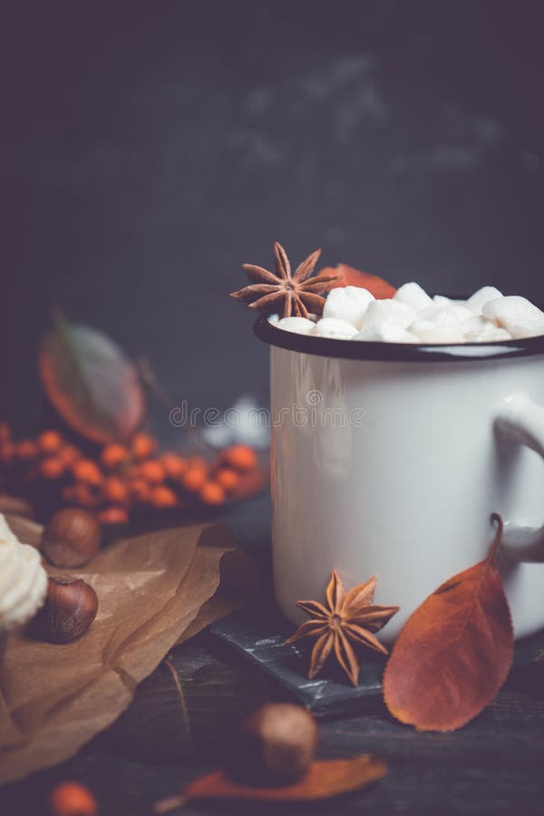 Cup of hot chocolate with marshmallows on the rustic wooden background with autumn decoration. Shallow depth of field. Cup of hot chocolate with marshmallows on the rustic wooden background with autumn decoration. Shallow depth of field.