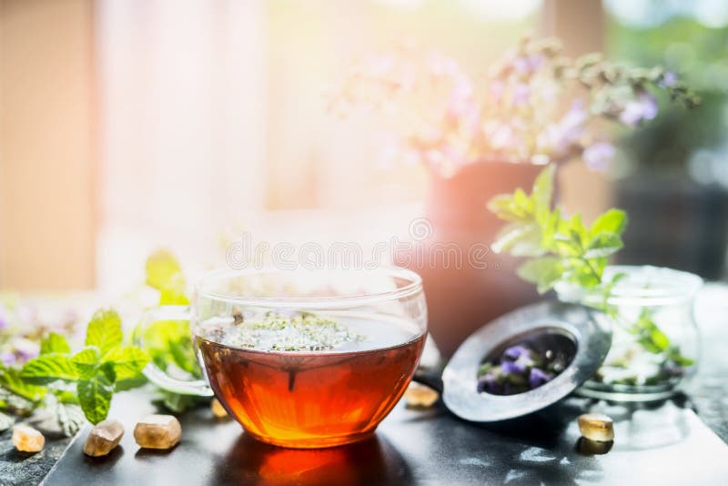 Taza de infusión de hierbas caliente en todavía ventana en el fondo soleado de la naturaleza, horizontal Escena casera fotografía de archivo Taza de infusión de hierbas caliente en todavía ventana en el fondo soleado de la naturaleza, horizontal Escena casera fotografía de archivo