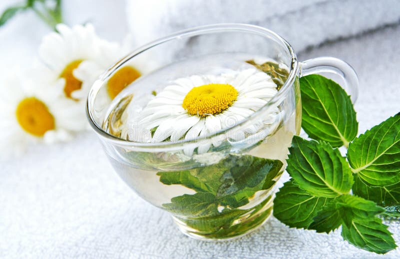 Taza De Té Caliente De La Manzanillamenta Imagen de archivo Imagen