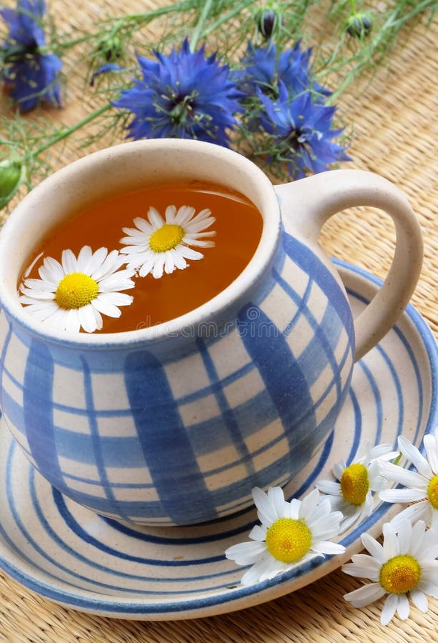 Cup of herbal tea - chamomile and flowers. Cup of herbal tea - chamomile and flowers