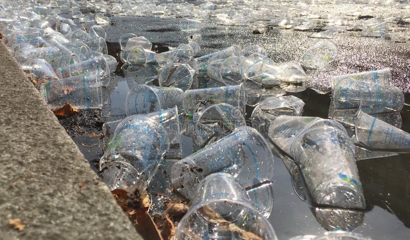 Tazas plásticas vacías que dejan en desorden la calle durante un maratón imagen de archivo libre de regalías Tazas plásticas vacías que dejan en desorden la calle durante un maratón imagen de archivo libre de regalías