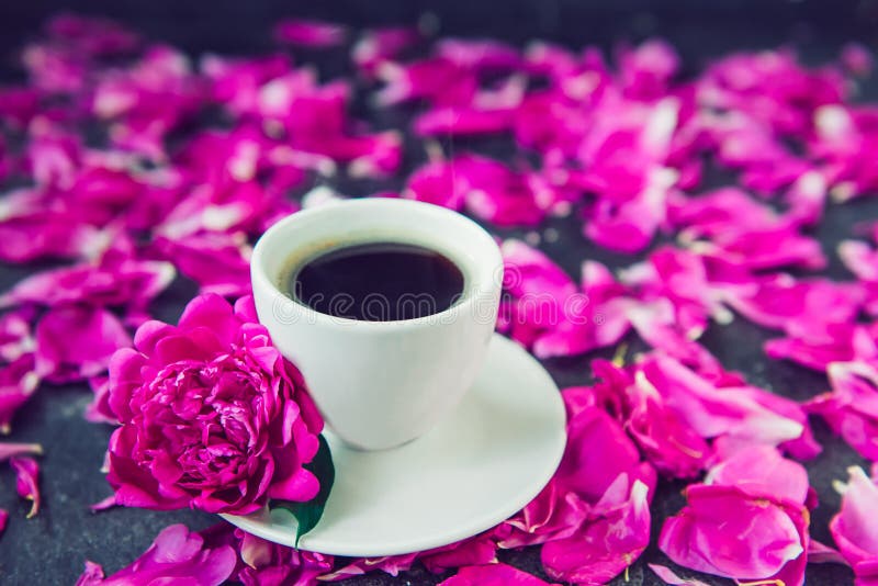 Tazza alta vicina di caffè di recente preparato e del fiore rosa porpora della peonia sul piattino bianco su fondo nero con i pet fotografie stock libere da diritti Tazza alta vicina di caffè di recente preparato e del fiore rosa porpora della peonia sul piattino bianco su fondo nero con i pet fotografie stock libere da diritti