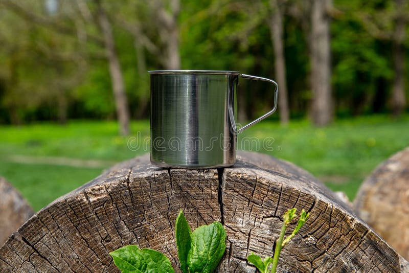Tazza d'acciaio turistica nella foresta di estate all'aperto fotografia stock Tazza d'acciaio turistica nella foresta di estate all'aperto fotografia stock