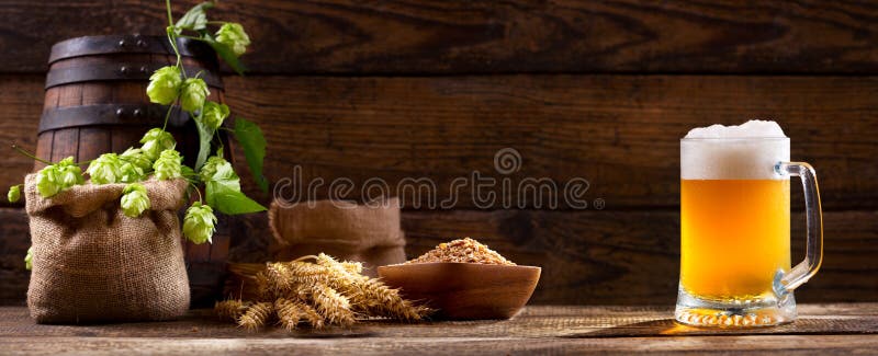 Tazza di birra con il luppolo di verde e le orecchie del grano fotografia stock libera da diritti Tazza di birra con il luppolo di verde e le orecchie del grano fotografia stock libera da diritti
