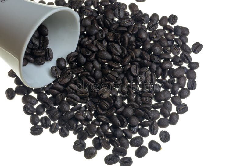 Tazza di caffè e chicchi di caffè Â isolati, immagine stock libera da diritti Tazza di caffè e chicchi di caffè Â isolati, immagine stock libera da diritti