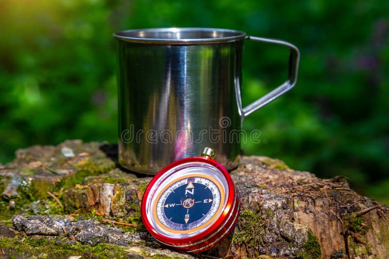 Tazza e bussola d'acciaio turistiche nella foresta di estate immagini stock Tazza e bussola d'acciaio turistiche nella foresta di estate immagini stock