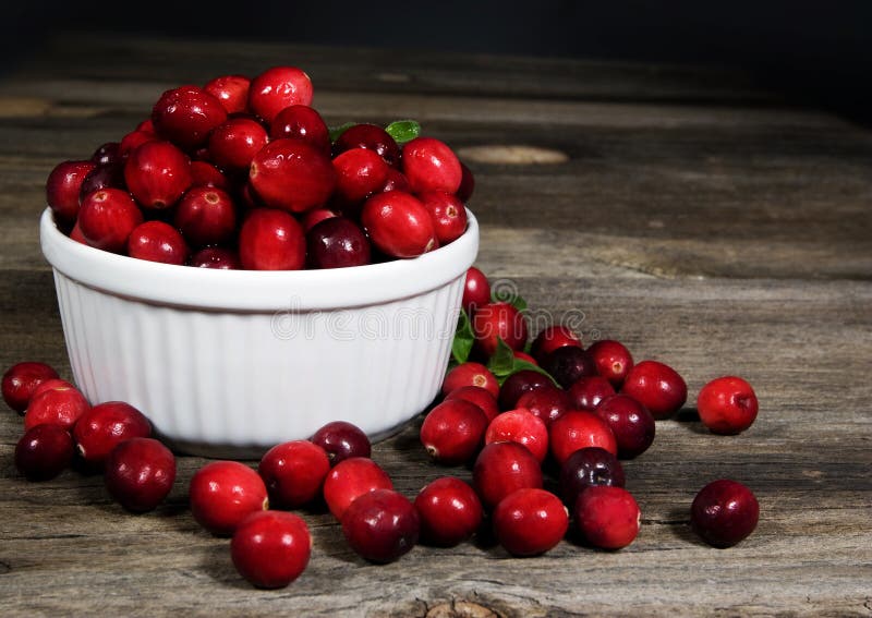 Freshly washed raw cranberries in white bowl sitting on rustic wood planks. Freshly washed raw cranberries in white bowl sitting on rustic wood planks