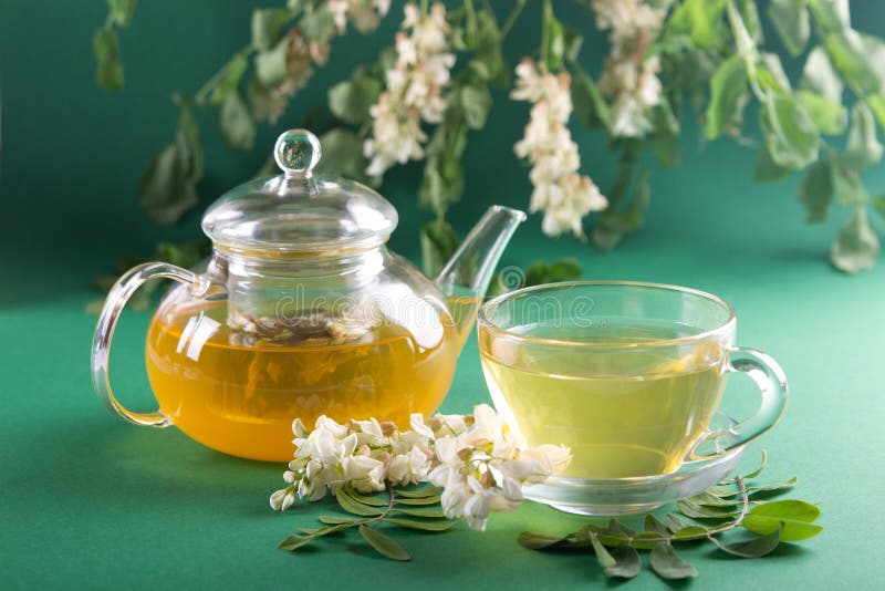 Herbal Natural Tea With Fresh Acacia Flowers Stock Image Image of