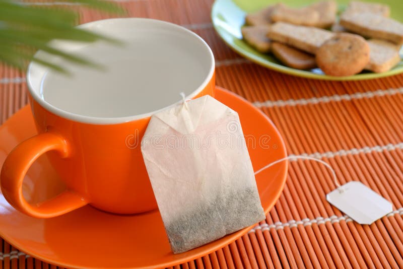 Tea bag Cup Hot water Cookies on plate Green plant