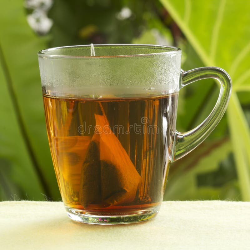 Tea bags with cups stock photo. Image of teabag, healthy 44621040