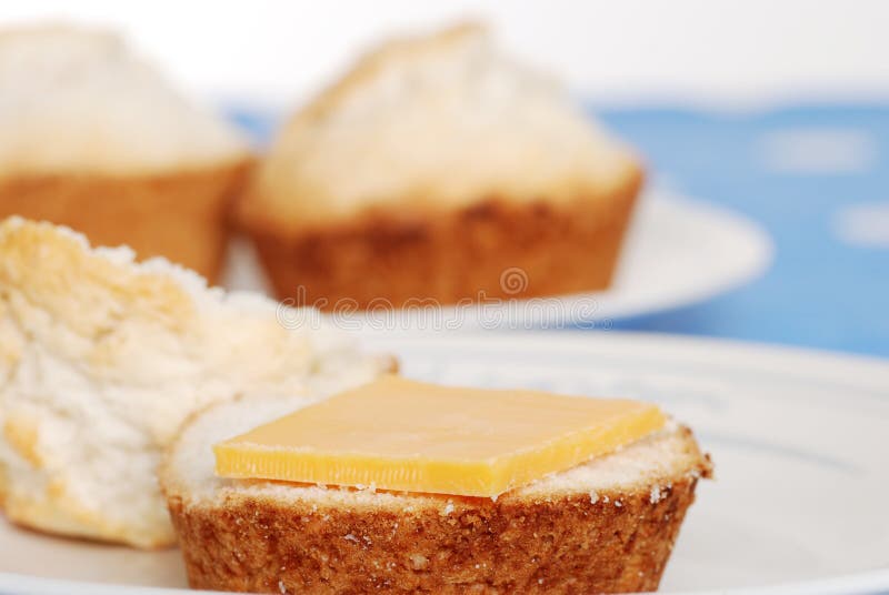 Tea Biscuit with Cheese Shallow Depth of Field Stock Image Image of
