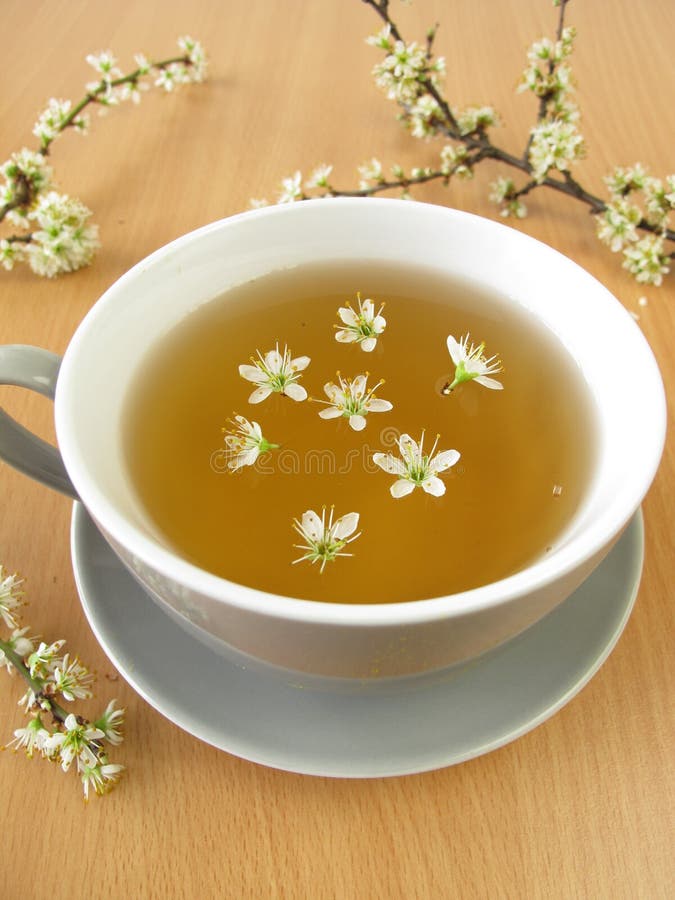 Tea with Blackthorn Flowers Stock Image Image of flowers, herbs 39159613