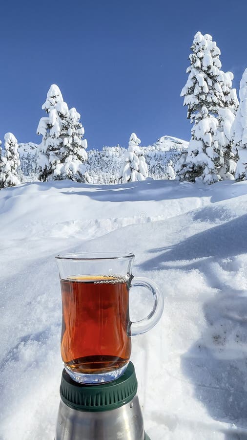 Tea Break in Nature and Wonderful Winter Views Stock Image Image of