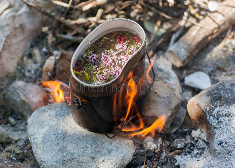 Hike, camping concept. Thermos and aluminum mug hot drink with rising steam  standing on stump in Stock Photo by SergioPhotone