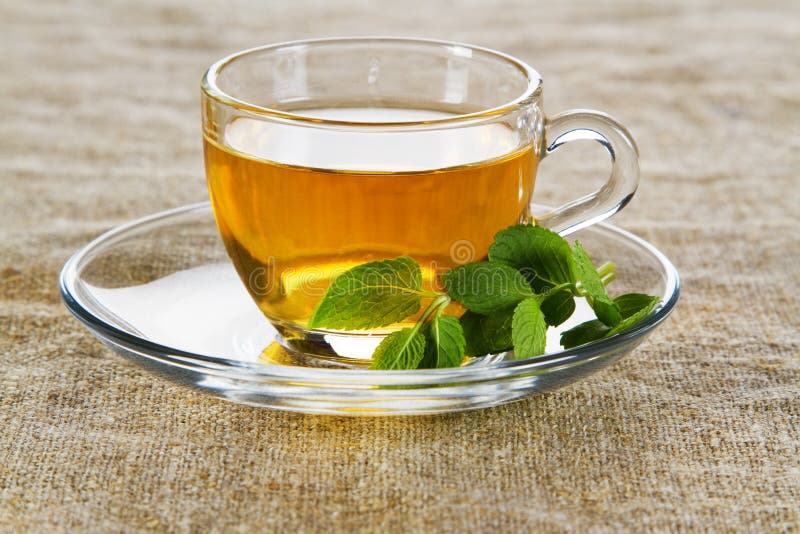 Tea cup with fresh mint leaves