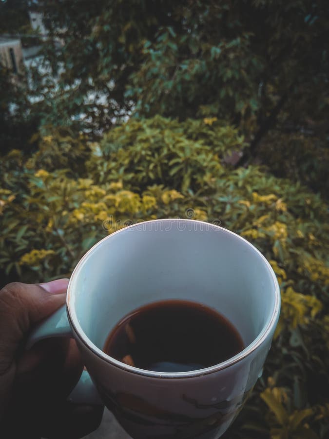 Tea Cup with Green Tea Leaf on the Hand and the Tea Plantations