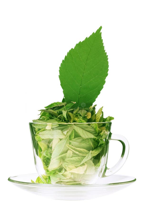 Tea cup of green tea stock photo. Image of crop, elegance 21181712