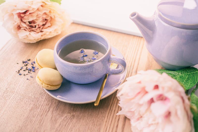 Tea cup home serving for one english black tea black tea with teapot and macarons cookies with lovely pink peonies royalty free stock photos Tea cup home serving for one english black tea black tea with teapot and macarons cookies with lovely pink peonies royalty free stock photos