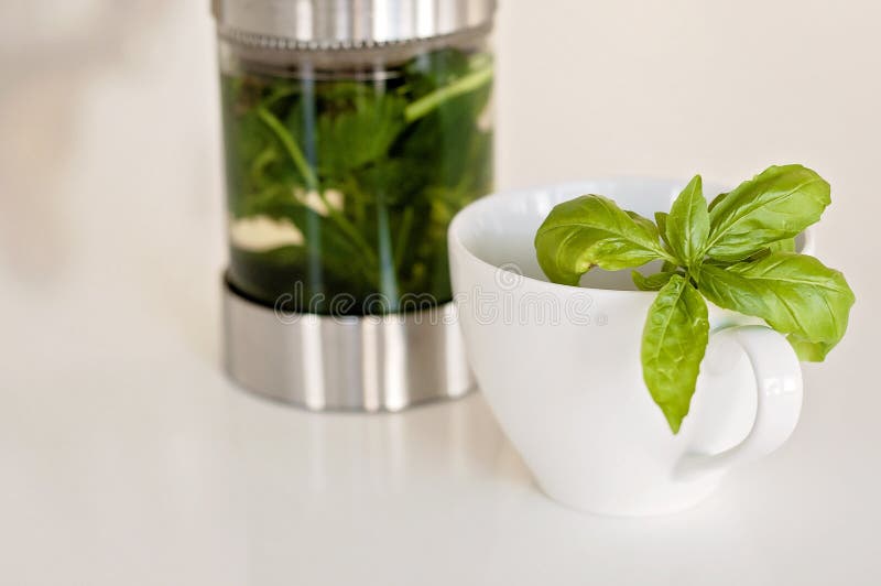 Tea Cup. Hot Herbal Tea on White Cup with Fresh Green Peppermint or