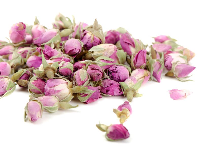 Tea of dried roses stock photo. Image of aroma, closeup 31707148