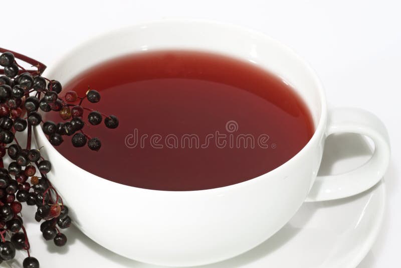 Tea elder stock image. Image of teacup, branch, black 10519147