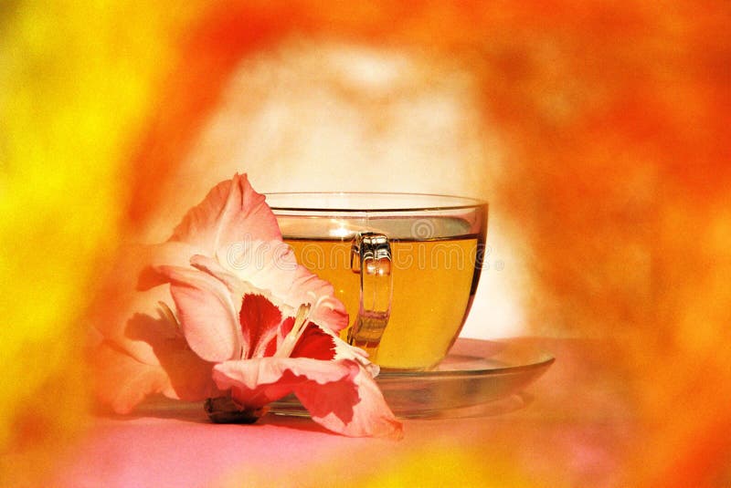 Tea and Flower stock photo. Image of flower, tannin, natural - 18379126