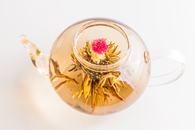 Tea Flower in a Clear Teapot Stock Photo Image of ceremony, closeup