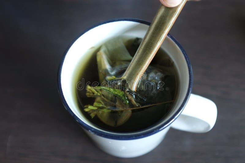 Tea with Green and Dired Stevia Leaves Stock Photo Image of drink