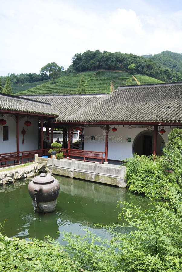 A tea house in a tea farm in a small village in China. A tea house in a tea farm in a small village in China