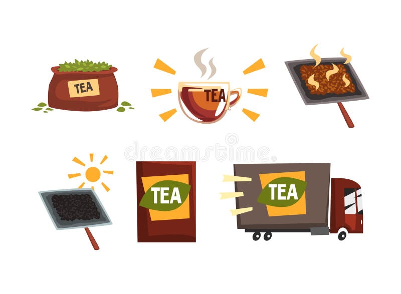 Tea Processing Stock Illustrations 180 Tea Processing Stock
