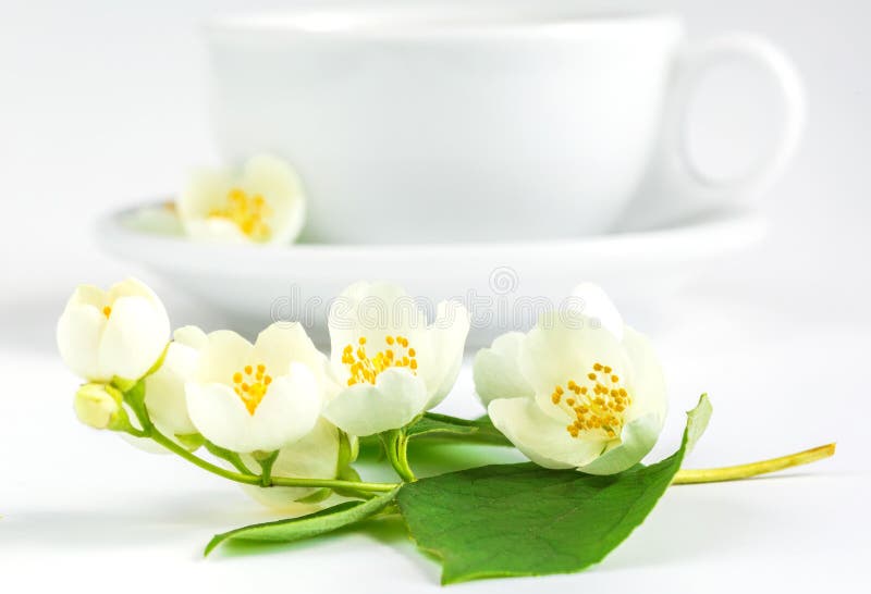 Tea and jasmine flowers stock image. Image of object 92221819