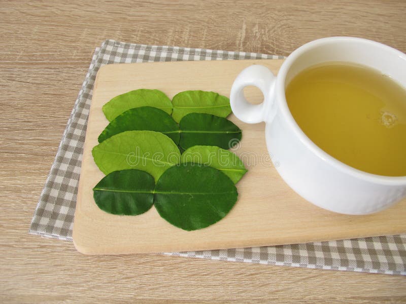 Tea with Kaffir Lime Leaves Stock Image Image of mauritius, herbs