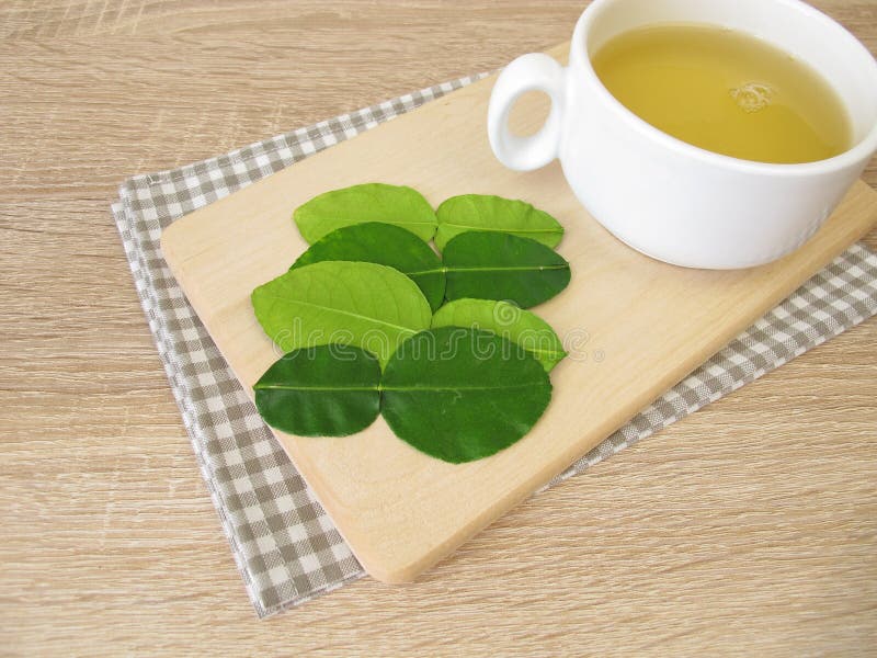 Tea with Kaffir Lime Leaves Stock Image Image of ingredient, hystrix