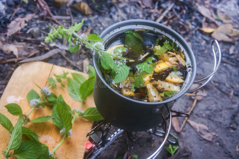 Tea with Lemon and Mint, Cooking Tea Over a Fire Stock Image Image of