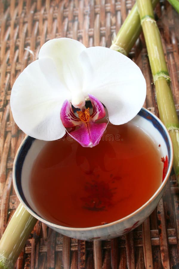 Tea and Orchid stock photo. Image of energy, japan, dinner 683350