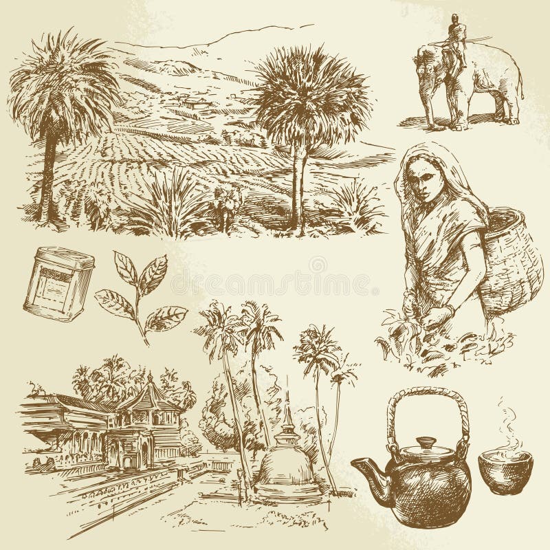 Tea plantations stock vector. Illustration of china, farm 35350437