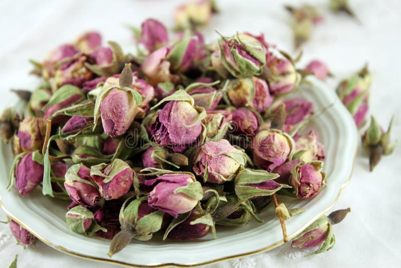 Tea rose buds stock image. Image of heap, chinese, rose 38413397
