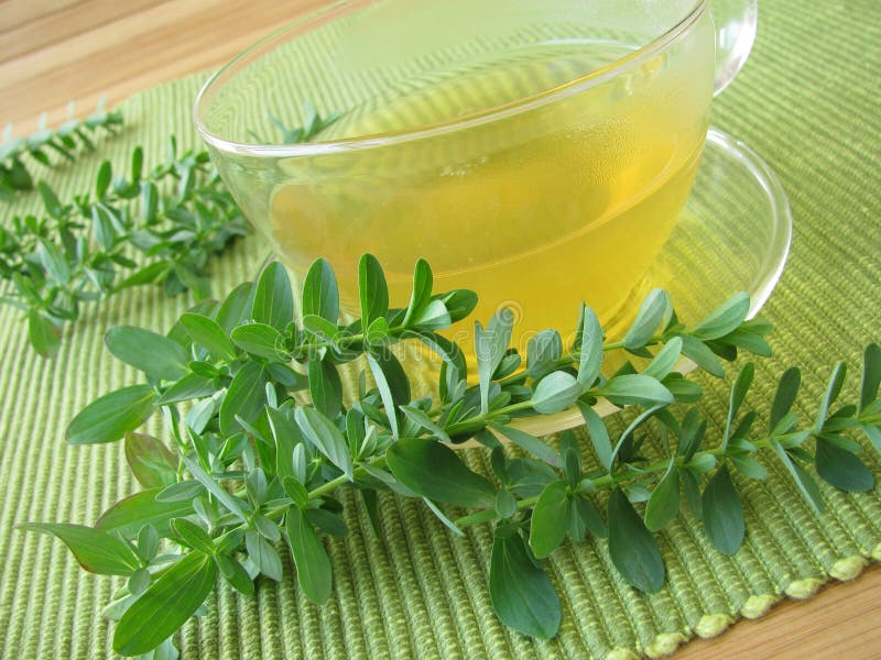 Tea with St. Johnâ€™s Wort stock photo. Image of medical 19743640