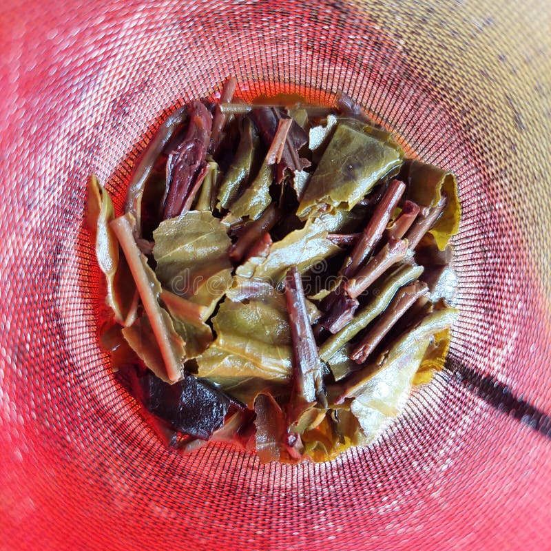 A Tea Strainer in the Form of a Wire Mesh Inside the Teapot Stock Image Image of hand
