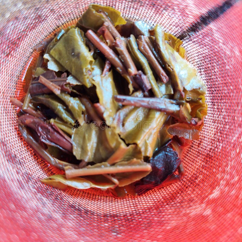 A Tea Strainer in the Form of a Wire Mesh Inside the Teapot Stock Photo Image of breakfast