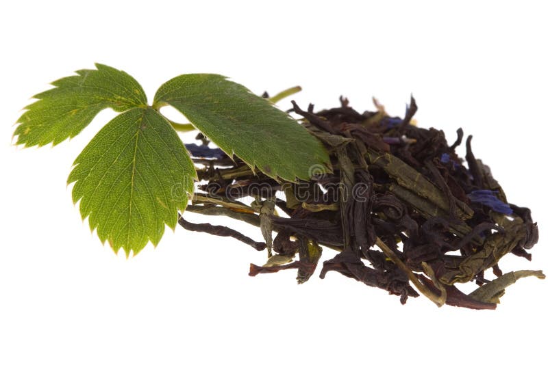 Tea and strawberry leaf on isolated