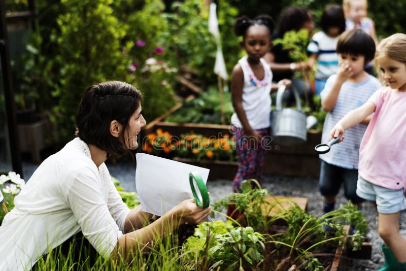 Teacher and kids school learning ecology gardening royalty free stock image Teacher and kids school learning ecology gardening royalty free stock image