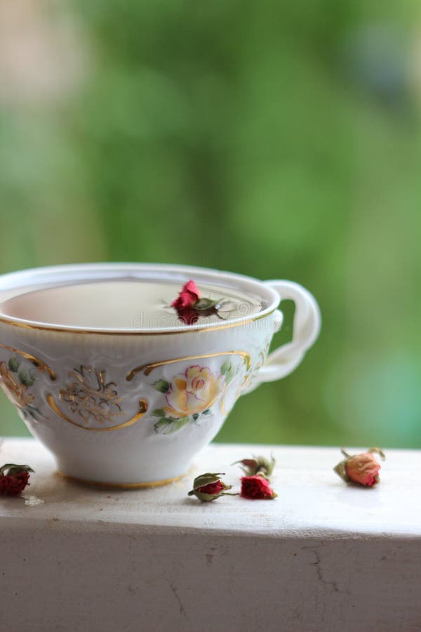 Teacup in the garden stock photo. Image of natural, countrystilllife