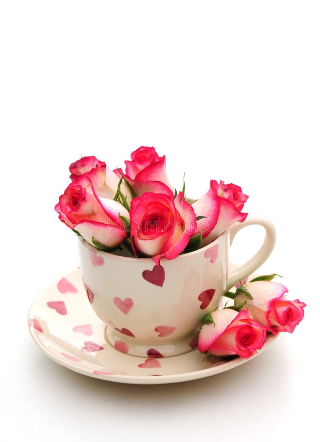 Teacup with roses