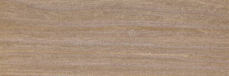 Teak wood, can be used as background, wood grain texture stock image Teak wood, can be used as background, wood grain texture stock image