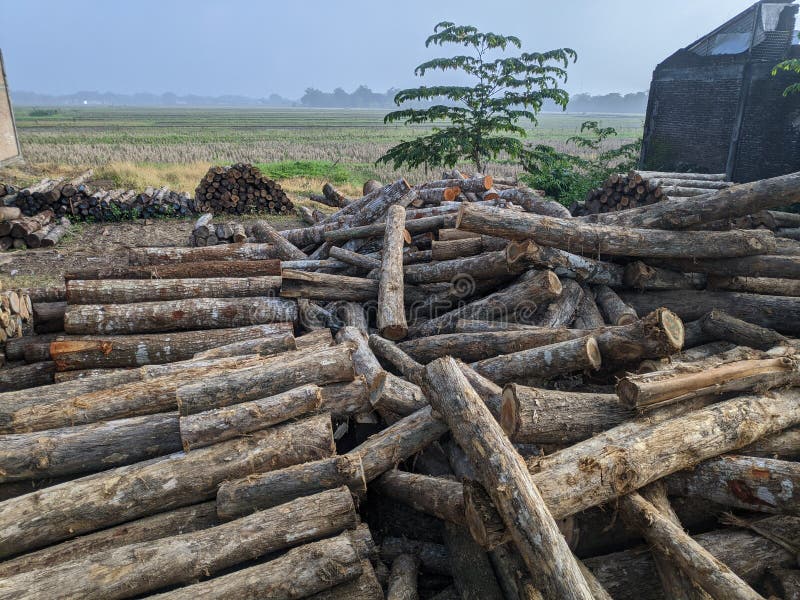 698 Teak Wood Indonesia Stock Photos Free & RoyaltyFree Stock Photos