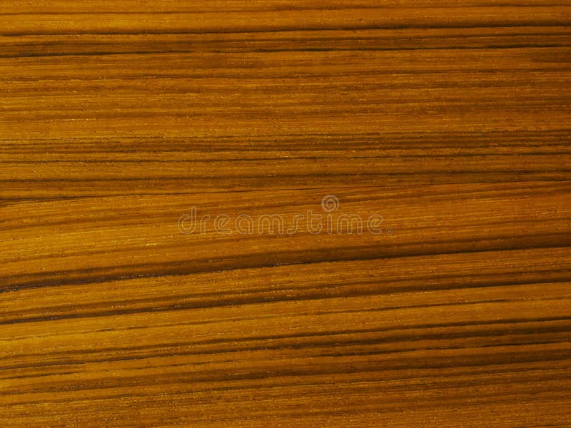 Teak wood texture